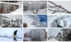 Doğuda etkisini sürdüren dondurucu soğuklar yaşamı olumsuz etkiliyor