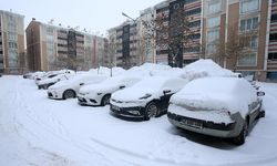 Doğu'da soğuk hava ve kar yaşamı olumsuz etkiliyor