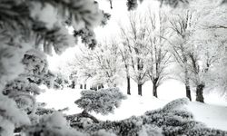 Erzurum, Ardahan ile Kars'ta sis ve soğuk hava etkili oluyor