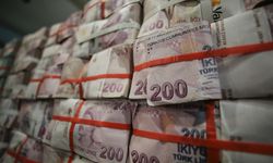 Hazine'nin 2025 yılı vergi dışı normal gelirleri 80,9 milyar lira oldu