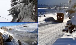 Kars ve Ardahan'da dondurucu soğuklar etkili oluyor