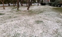 Mersin'de dolu etkili oldu