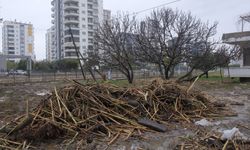 Mersin'de sağanaktan etkilenen alanlarda temizlik ve onarım çalışmaları sürüyor