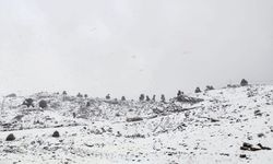 Mersin'in yüksek kesimlerinde kar etkili oluyor