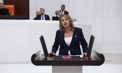 "Sorunlar Artmaya Devam Ediyor, Sanayi Sitesi Nerede Kurulacak?"