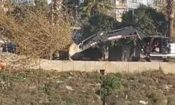 Defne'nin Sevgi Parkı'na İş Makineleri Girdi: Ağaçlar Tek Tek Sökülüyor!