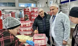 Antakya’da Süt Ürünleri Üreten Firma İncelendi