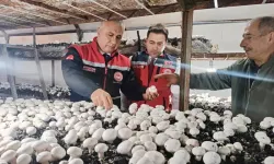 Defne’de Mantar Üretimine Yakın Takip