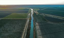 Tarım sektörüne yapılacak yatırımlarda bu yıl sulama projeleri öne çıkıyor
