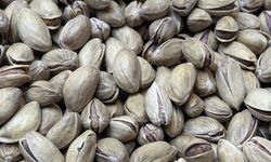 Türkiye'den geçen yıl 178 milyon dolarlık Antep fıstığı ihraç edildi