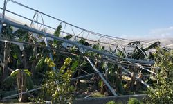 TZOB Genel Başkanı Bayraktar, hortumdan etkilenen Manavgat'ta çiftçilerle buluştu