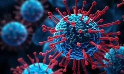 Hayvanlarda Görülen Shamonda Virüsü İlk Kez İnsana Bulaştı