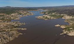 Yağışlar Trakya'daki barajlara can suyu oldu