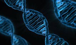 Yapay zeka modeli 'AlphaGenome' yardımıyla DNA'nın bilinmeyenlerinin keşfedilmesi öngörülüyor