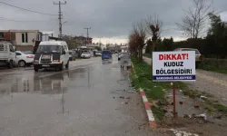 ‘Dikkat Kuduz Bölgesidir’: Hatay’da 4 Mahalleye Yasak !