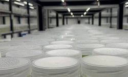 ABD'de 'yasa dışı biyolojik laboratuvar' işletildiği şüphesiyle İsrail vatandaşı 1 kişi gözaltına alındı