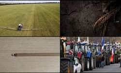 AB'de tarım topraklarının bozulmasının maliyeti yıllık 50 milyar avroya ulaşıyor