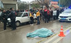 Adana'da kamyonun çarptığı kişi öldü