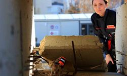 Antalya'da eğitilen Afrika keseli sıçanları enkaz altındaki 'göz' olacak