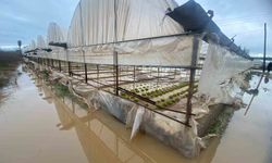 Antalya'da sağanak yağmur Aksu'da su baskınlarına sebep oldu