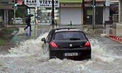 Antalya'da 'Sarı Kod' uyarısı: Rögarlar taştı, telef olmuş dana kıyıya vurdu
