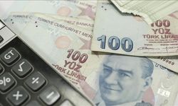 'Asrın felaketi'nin yaşandığı illerde iş gücü piyasası desteklerle canlandırıldı