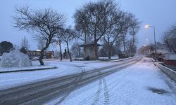 Bazı illerde kar etkili oluyor