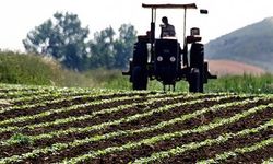 Çiftçilere bugün 94,3 milyon liralık tarımsal destekleme ödemesi yapılacak
