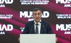 Cumhurbaşkanı Yardımcısı Yılmaz: Önümüzdeki dönem enflasyonda düşüşün devam ettiği bir dönem olacak
