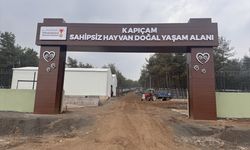 Depremde hasar gören Kapıçam Sokak Hayvanları Rehabilitasyon Merkezi yenilendi