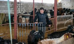 Depremde hayvanlarını kaybeden besici, üretime devlet desteğiyle tutundu