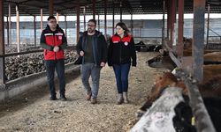 Depremzede besici, devlet desteğiyle hayvan sayısını katladı