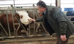 Devlet desteğiyle kurduğu işletmesinde günlük 1,5 ton süt elde ediyor