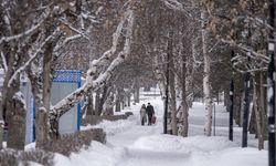 Doğu'da kar ve soğuk hava etkili oluyor