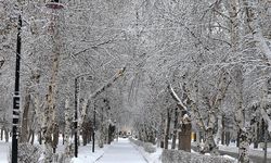 Doğuda kar yağışı etkilisini sürdürüyor