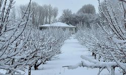 Doğu'da soğuk hava ve kar etkisini sürdürüyor