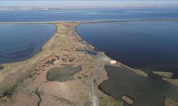 Dünya genelinde süren sulak alan kaybı, küresel ekonomiyi tehdit ediyor