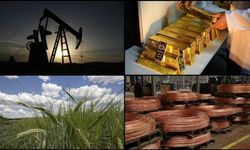 Emtia piyasasında geçen yılki rekorlar ocak ayına da taşındı