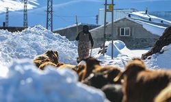 Erzurum'da besiciler kar ve dondurucu soğukla mücadele ediyor
