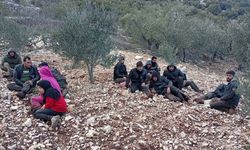 Suriye Sınırında Hareketlilik: Hatay’da 30 Kaçak Göçmen Gözaltında