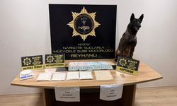 Hatay’da Battaniyeye Zulalanan Zehri Narkotik Köpeği Buldu