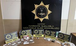 Hatay'da uyuşturucu satıcılarına yönelik operasyonda yakalanan 20 zanlı tutuklandı