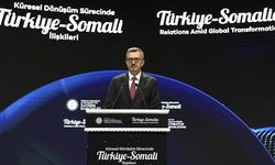İletişim Başkanı Duran: İsrail'in Filistin'de sürdürdüğü soykırımı Afrika Boynuzu'na taşımasını istemiyoruz