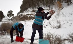 İmamlar zorlu kış şartlarında yiyecek bulamayan yaban hayvanlarına yem taşıyor