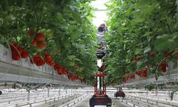 IPARD-III kapsamında 214 projeye 1,7 milyar lira hibe verilecek