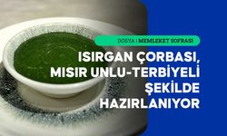 Isırgan çorbası