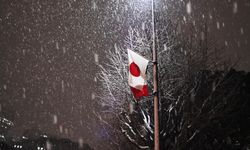 Japonya'da şiddetli kış şartlarından kaynaklanan can kayıplarının sayısı 35'e çıktı