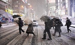 Japonya'da şiddetli kış şartlarından kaynaklanan ölümlerin sayısı 30'a yükseldi