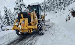 Kahramanmaraş ilçelerinde kar temizliği