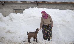 Kar kalınlığının 2,5 metreye ulaştığı Ovacık'ta besiciler zorlu kış şartlarına göğüs geriyor
